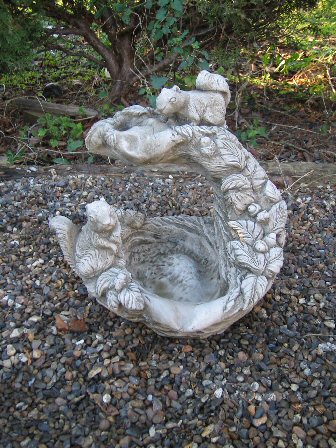 KA11 Squirrel Waterfall KA11 Squirrel Waterfall